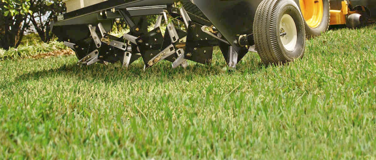 Lawn Aeration & Overseeding