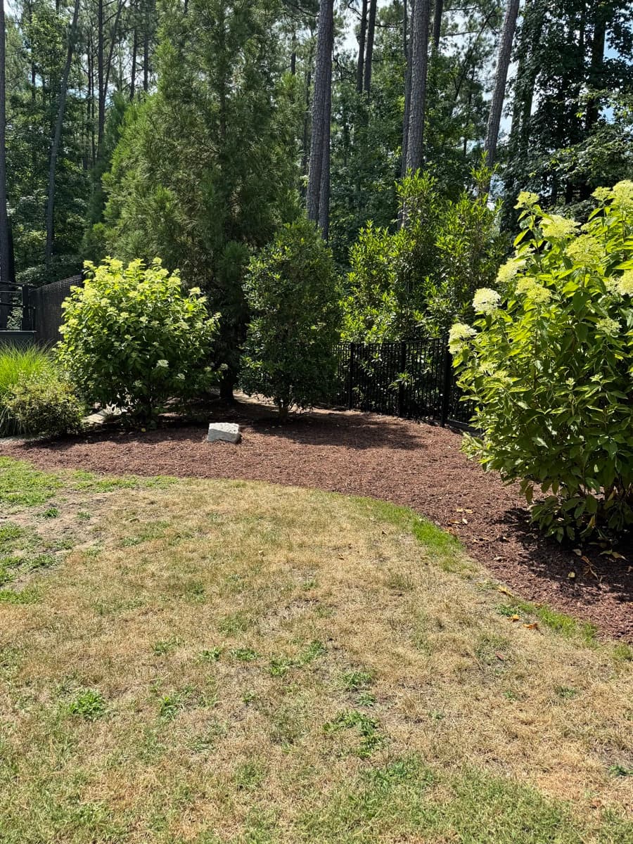 Mulch Installation